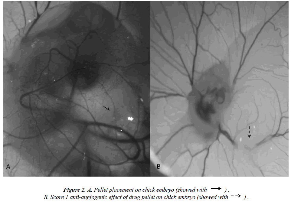 biomedres-Pellet-placement