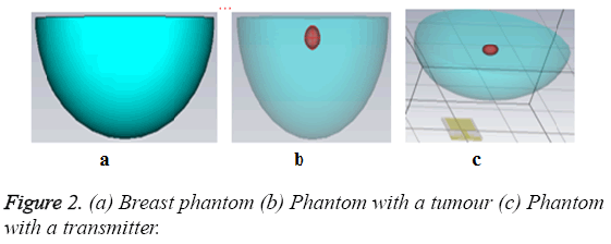 biomedres-Phantom-tumour