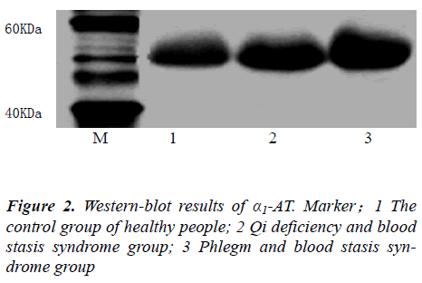 biomedres-Phlegm-blood-stasis