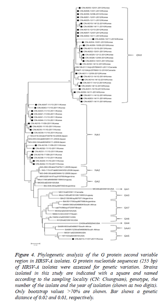 biomedres-Phylogenetic-protein