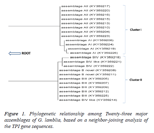 biomedres-Phylogenetic-sequences