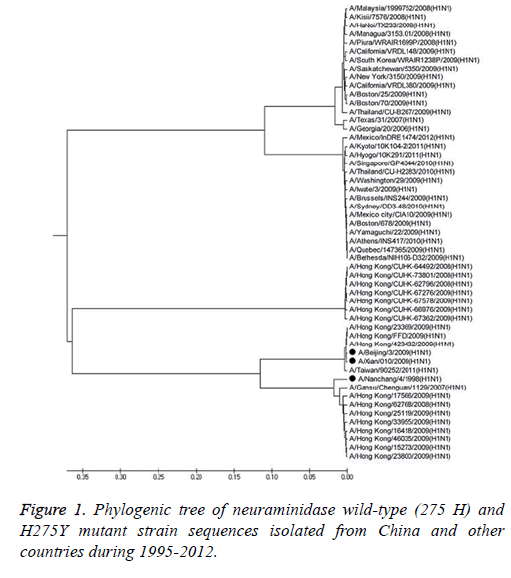 biomedres-Phylogenic-tree-sequences