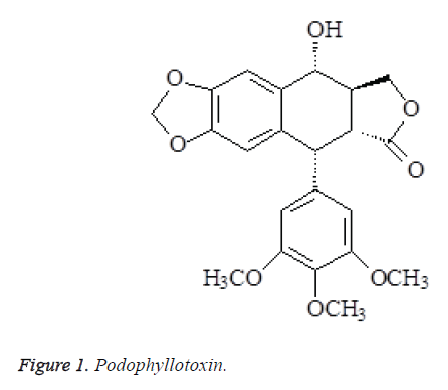 biomedres-Podophyllotoxin