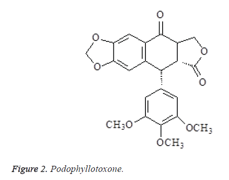 biomedres-Podophyllotoxone