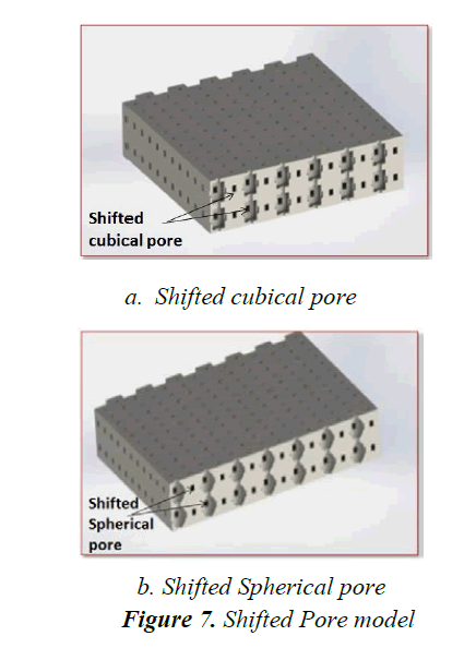 biomedres-Pore-model