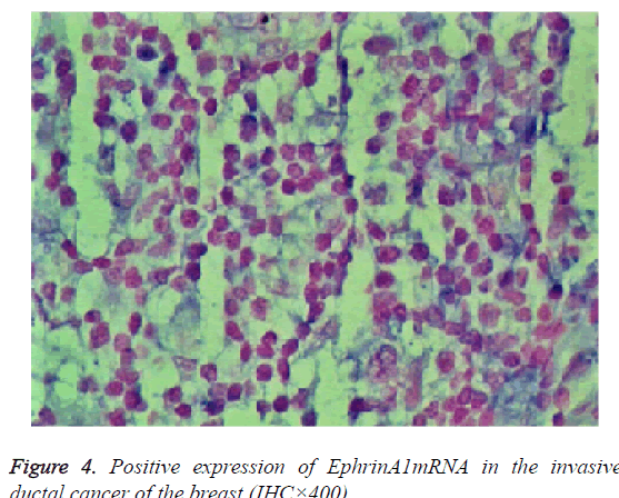 biomedres-Positive-expression