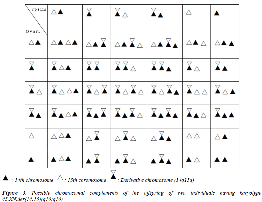 biomedres-Possible-chromosomal