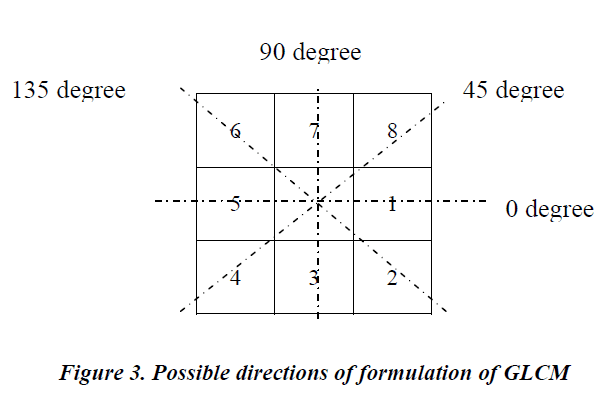 biomedres-Possible-directions