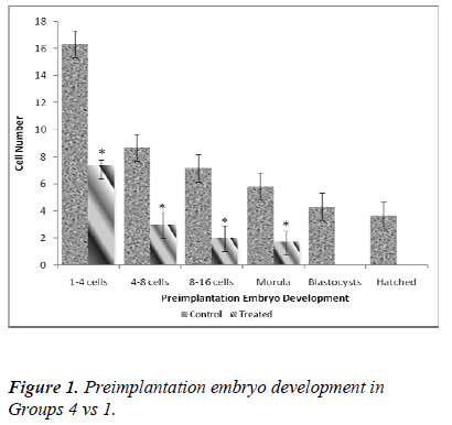 biomedres-Preimplantation-embryo-development-Groups