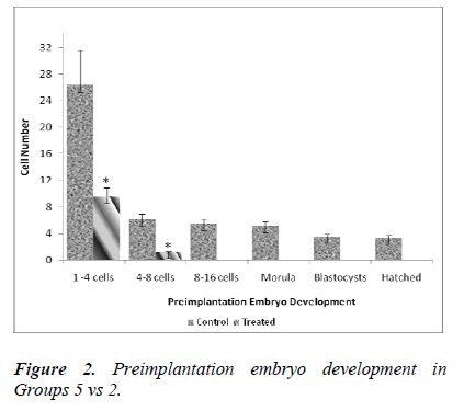 biomedres-Preimplantation-embryo-development-Groups