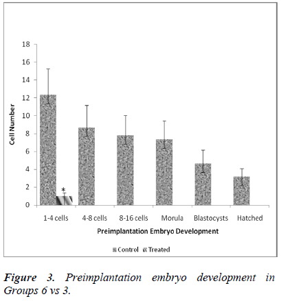 biomedres-Preimplantation-embryo-development-Groups