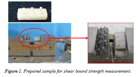 biomedres-Prepared-sample