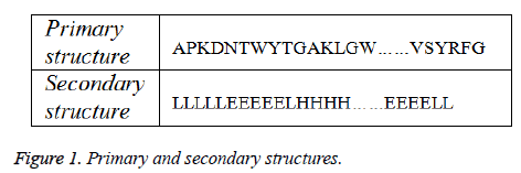 biomedres-Primary-secondary