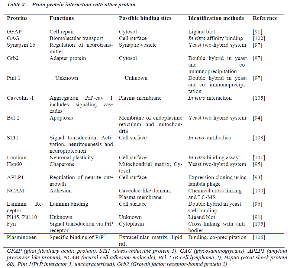 biomedres-Prion-protein-interaction