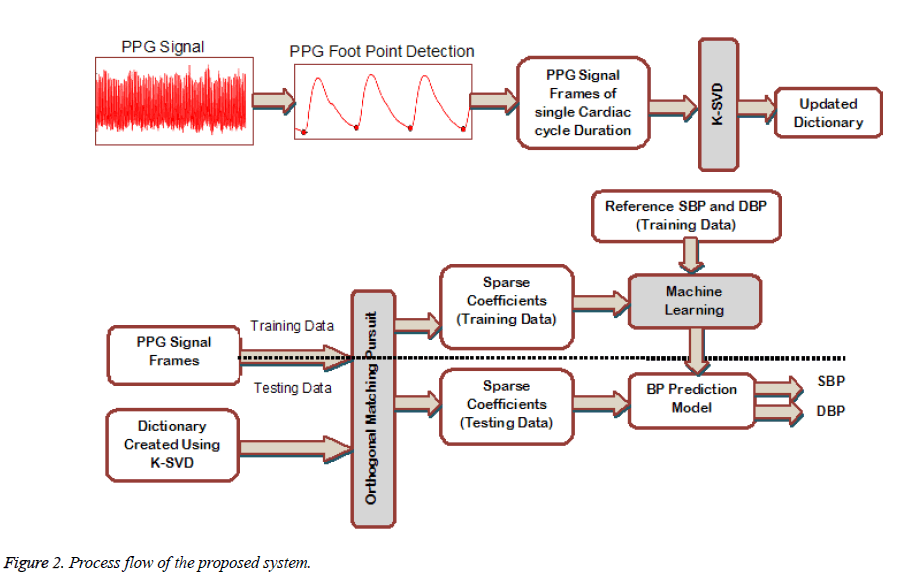 biomedres-Process-flow