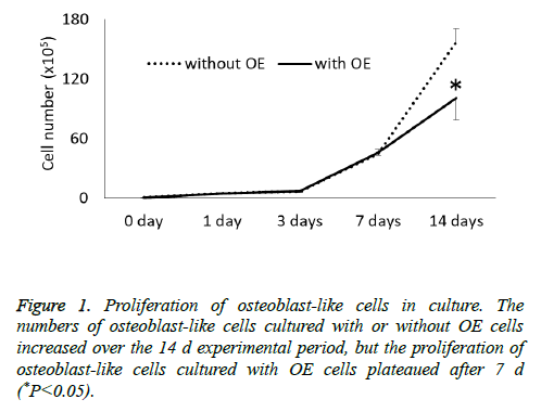 biomedres-Proliferation-osteoblast