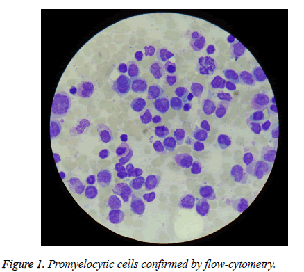 biomedres-Promyelocytic-cells