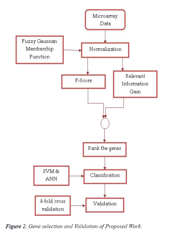 biomedres-Proposed-Work