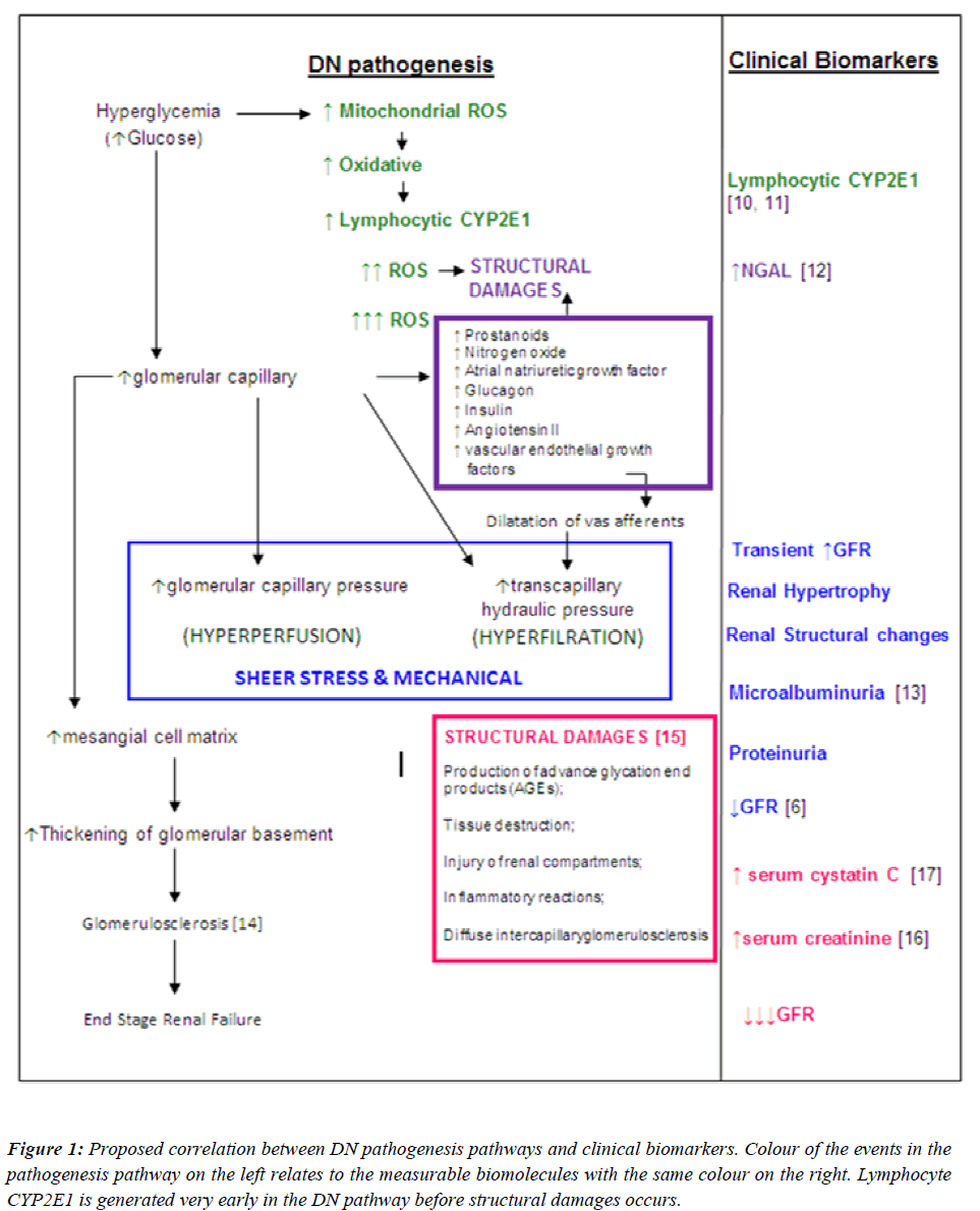 biomedres-Proposed-correlation