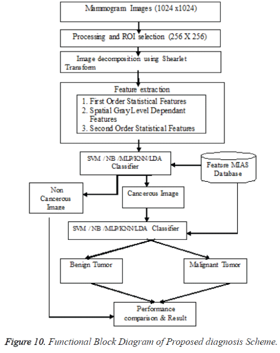 biomedres-Proposed-diagnosis