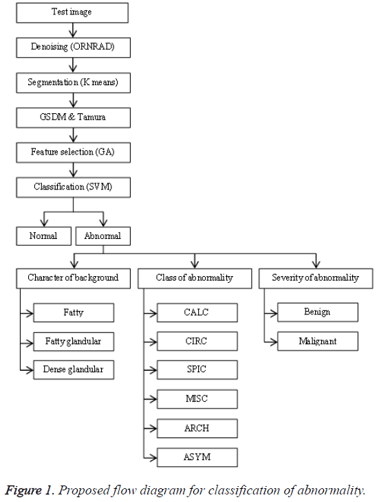 biomedres-Proposed-flow-diagram