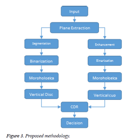 biomedres-Proposed-methodology