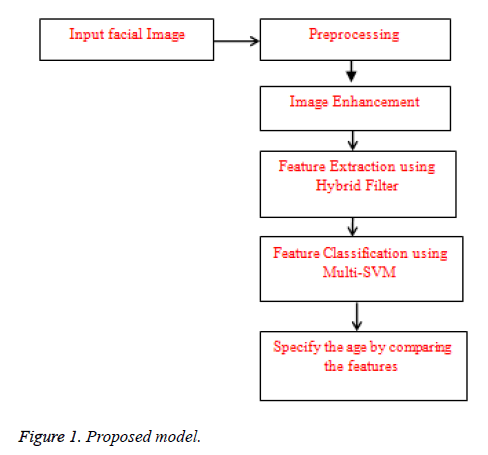 biomedres-Proposed-model