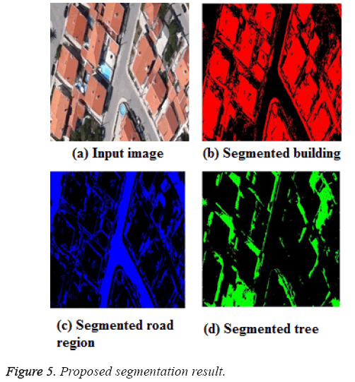 biomedres-Proposed-segmentation-result