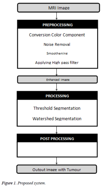 biomedres-Proposed-system