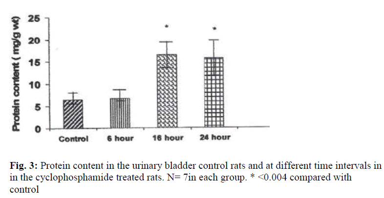 biomedres-Protein-content-urinary-bladder