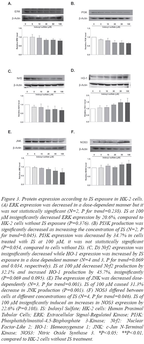 biomedres-Protein-expression-IS-exposure