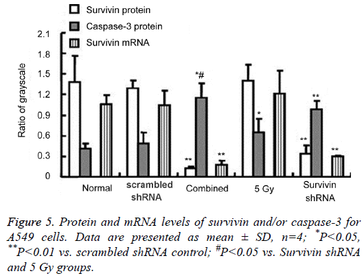 biomedres-Protein-mRNA-levels