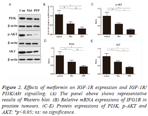 biomedres-Protein-weight