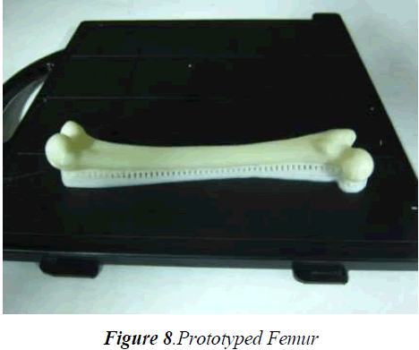 biomedres-Prototyped-Femur