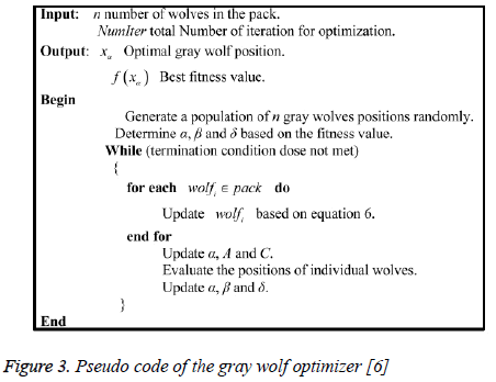 biomedres-Pseudo-code