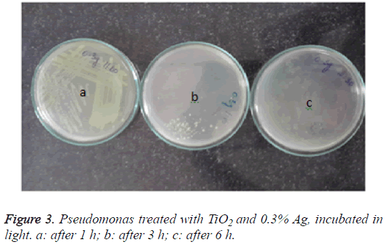 biomedres-Pseudomonas-treated-TiO2