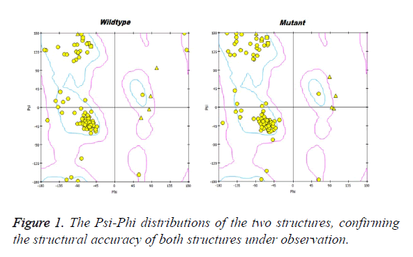 biomedres-Psi-Phi-distributions