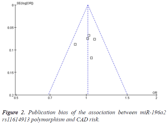 biomedres-Publication-bias