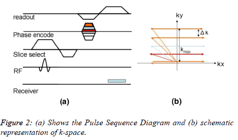 biomedres-Pulse-Sequence