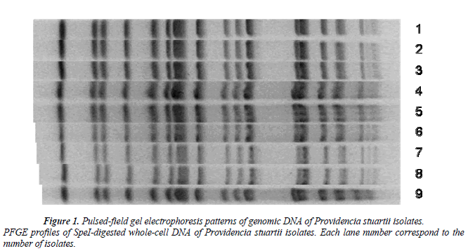 biomedres-Pulsed-field