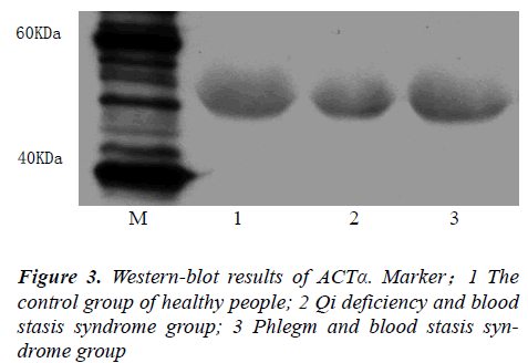 biomedres-Qi-deficiency-blood