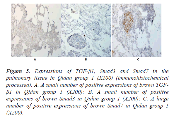 biomedres-Qidan-group