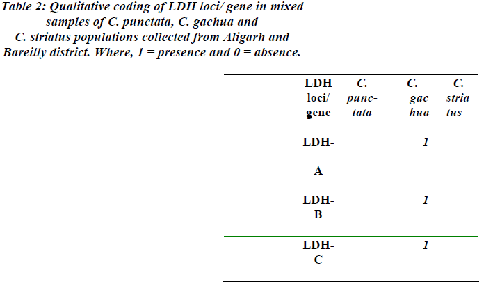 biomedres-Qualitative-coding