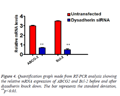 biomedres-Quantification-graph