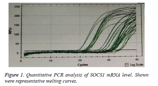 biomedres-Quantitative-PCR