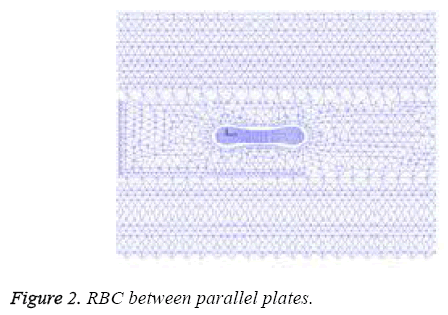 biomedres-RBC-between-parallel-plates