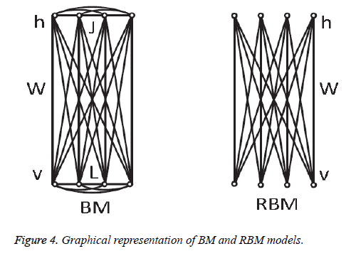 biomedres-RBM-models