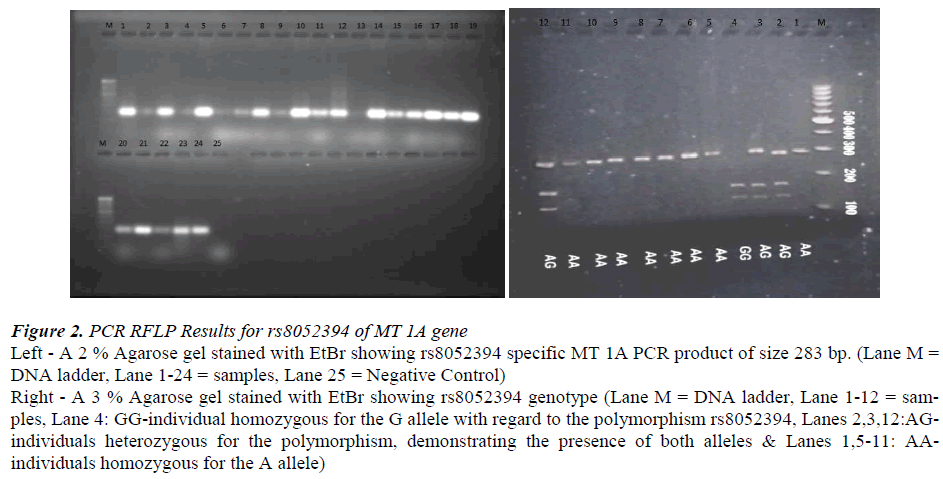 biomedres-RFLP-results