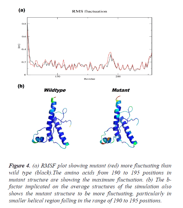 biomedres-RMSF-plot