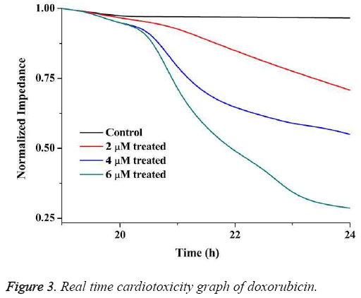 biomedres-Real-time-cardiotoxicity